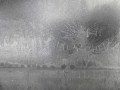 34ff113241db891d5621119e780c