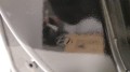 20201113_132846.jpg