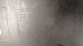 20210402_113106.jpg