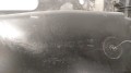 20210701_130127.jpg