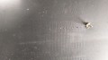 20210816_105832.jpg
