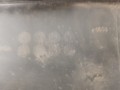 20220615_114626.jpg