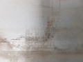 20221021_104723.jpg