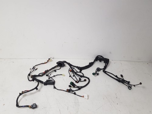 20221109_123351 Duży.jpeg