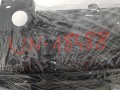 20230419_092157.jpg