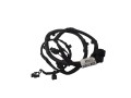 20230515_131425_clipped_rev_1.jpeg