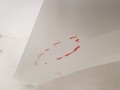 20230711_110901.jpg