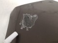20230726_145206.jpg