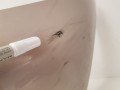 20230810_095816.jpg