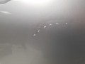 20231018_100236.jpg