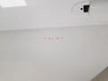 20231102_114418.jpg
