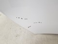 20240405_113703.jpg