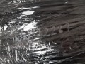 20240429_115545.jpg