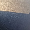 IMG-20240609-WA0003.jpg