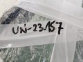 20240904_084140.jpg
