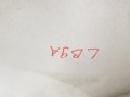 20240925_130437.jpg
