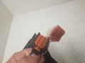 20241009_083733.jpg