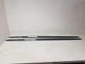20241015_095506.jpg