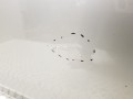 20241206_124133.jpg