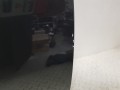 20241210_113156.jpg