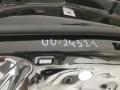 20241210_115451.jpg