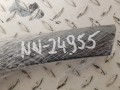 20241230_095441.jpg