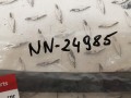 20241230_130329.jpg