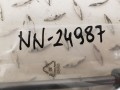 20241230_130653.jpg