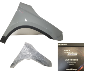 ŁADNY W KOLOR BŁOTNIK LISTWA PRAWY PRZEDNI PRAWA PRZÓD SKODA KAROQ 57A 17-25