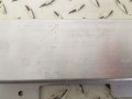 20250221_131341.jpg