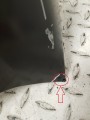 20250213_144834.jpg