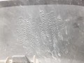 20250225_113341.jpg