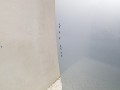 20250226_082653.jpg