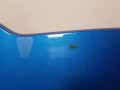 20250228_135108.jpg