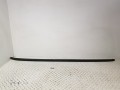 20250305_091531.jpg
