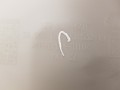 20250310_120214.jpg