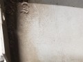 20250313_130011.jpg