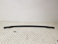 20250318_090906.jpg