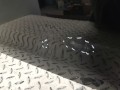 20250403_084436.jpg