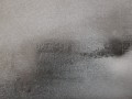 20250403_140156.jpg