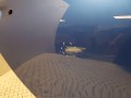 20250407_150801.jpg