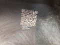 20250408_094028.jpg