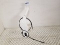 20250410_120225.jpg