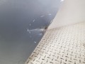 20250410_131730.jpg