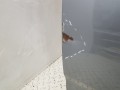 20250410_131732.jpg