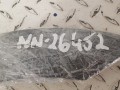 20250414_104652.jpg