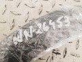 20250414_104926.jpg