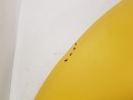 20250606_095120.jpg
