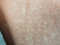 20250610_113228.jpg