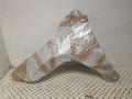 20250714_081955.jpg